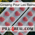 Ginseng For Kidney 19